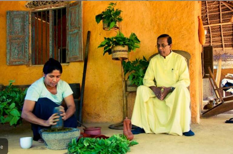 Our Activities: A Comprehensive Approach to Integrating Ayurveda and Traditional Indigenous Medicine